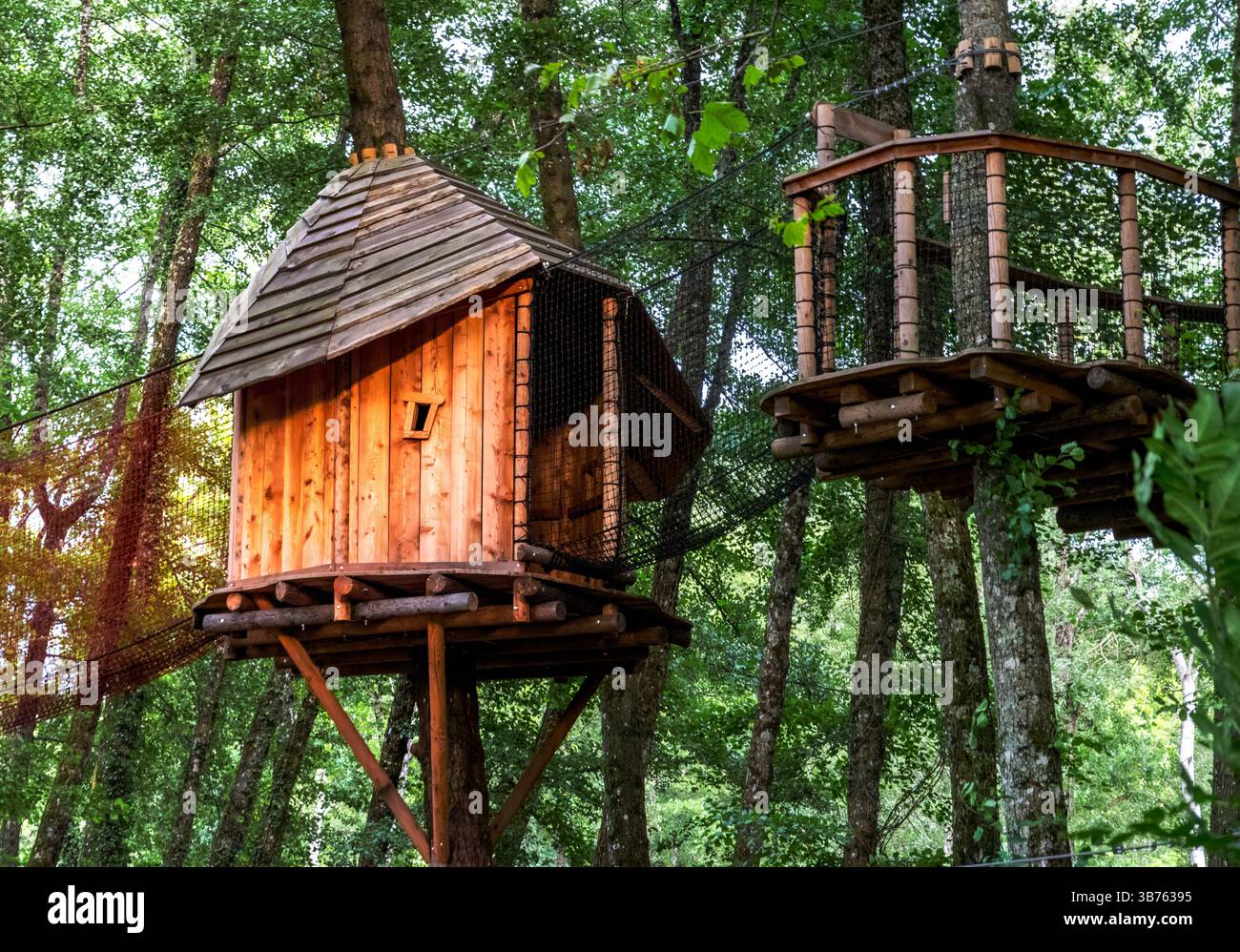 Casa sull'albero in legno sopraelevata con ponte di corda circondato da una fitta foresta di luce dorata Foto Stock