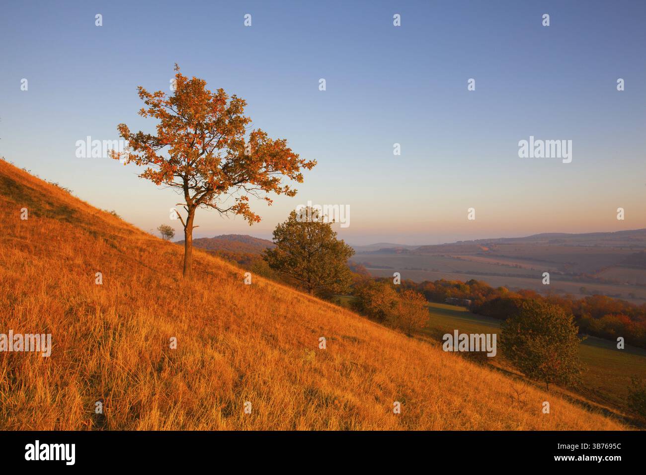 Mattina nella Boemia centrale Uplands, Repubblica Ceca. Vista dalla collina di sunrise. Monumento della natura Foto Stock