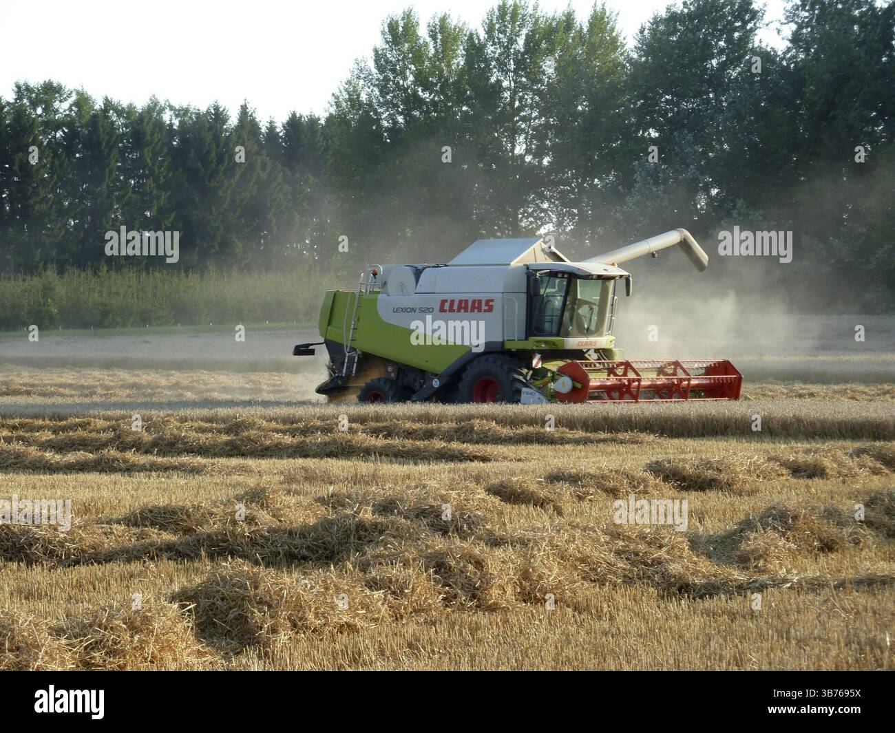 Mietitura campo campo campo grano estivo grano segale mietitrebbia mietitrebbia cibo agricolo farina lavoro natura stagione vegetale Foto Stock
