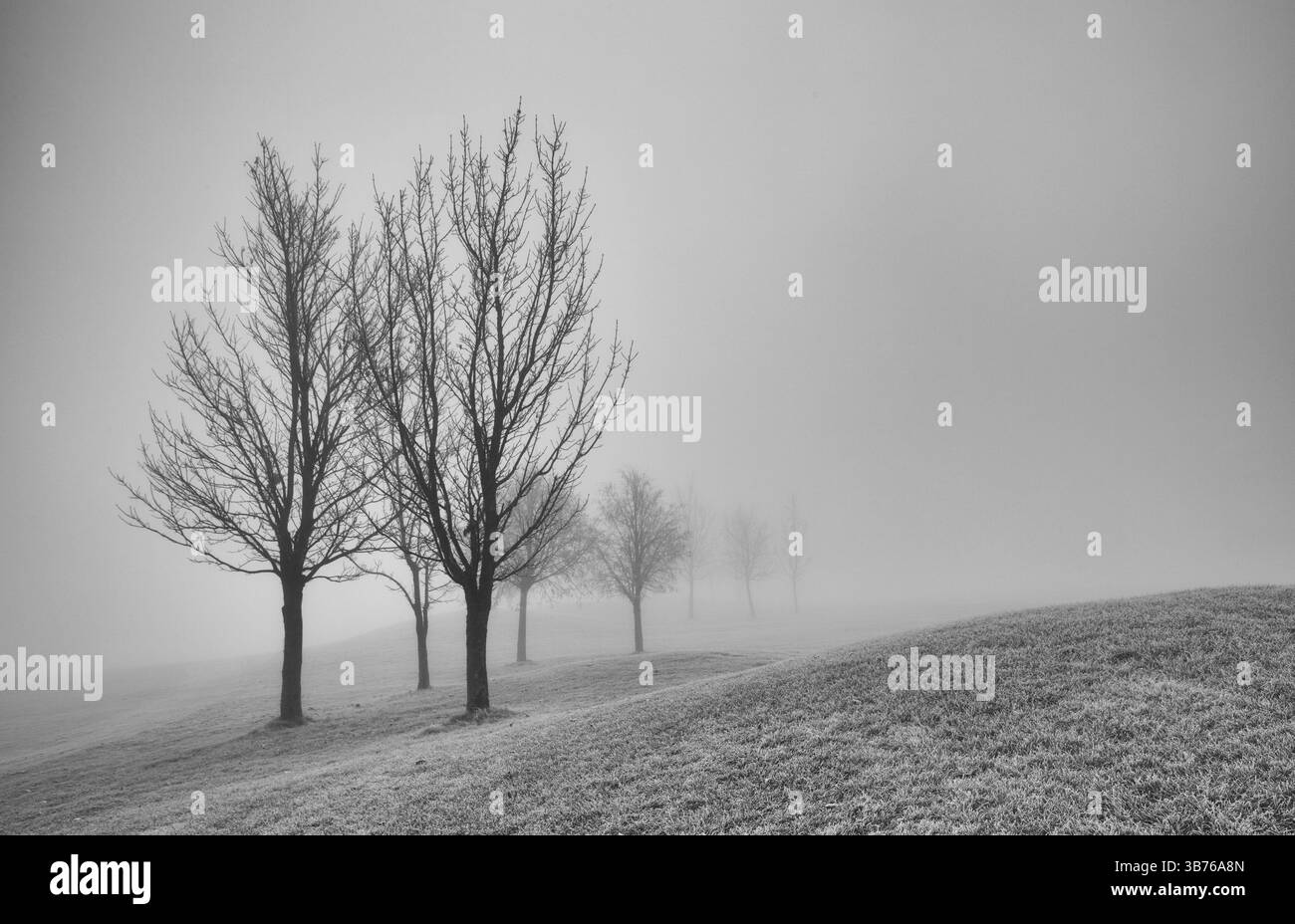 Paesaggio autunnale nella nebbia mattutina. Immagine in bianco e nero Foto Stock
