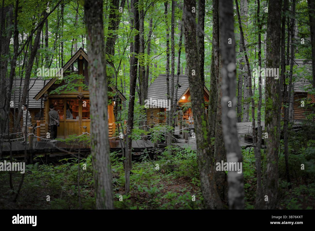 Immagine di Lodge in piedi nella foresta. Luogo di tiro: Hokkaido Furano Foto Stock