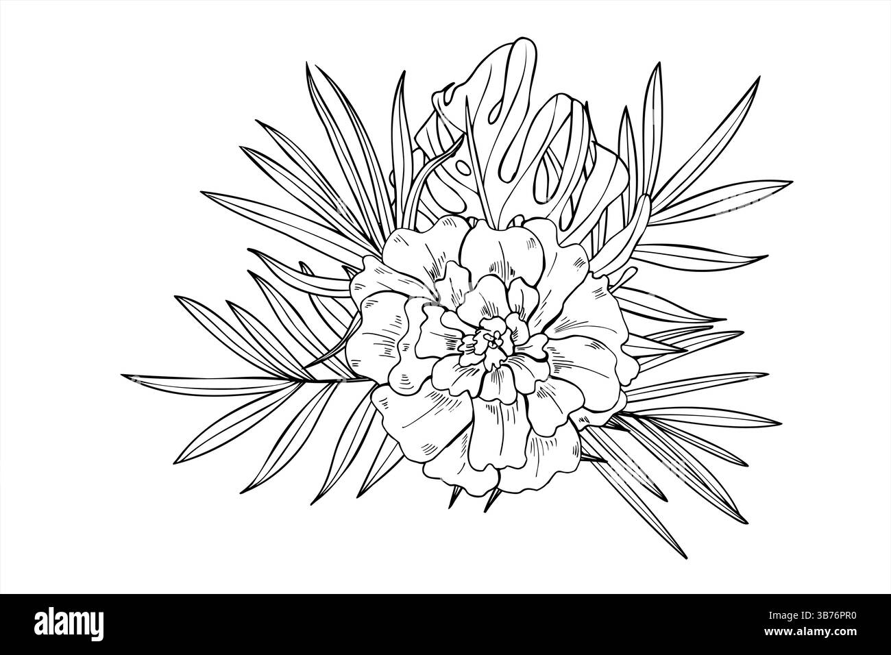 Calendula vettoriale in bianco e nero con illustrazione del bouquet di foglie tropicali. Fioritura di tageti messicani e indiani per il festival Diwali Illustrazione Vettoriale