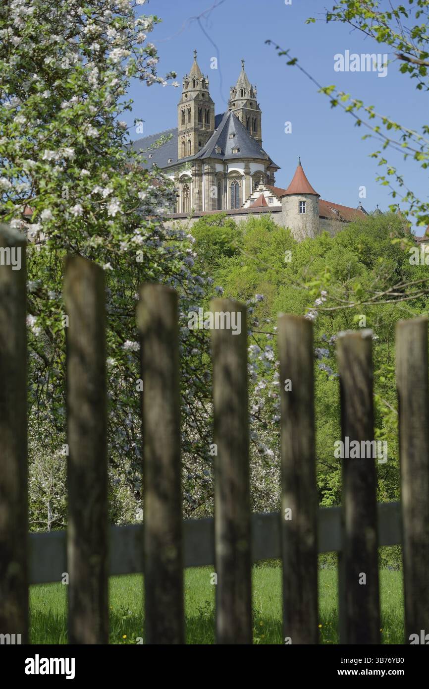 Vista del castello di Comburg, del monastero benedettino, della via di San Giacomo, della valle di Kocher, di Kocher, del percorso di pellegrinaggio, del pellegrinaggio, aprile, primavera, fioritura della frutta, Swa Foto Stock