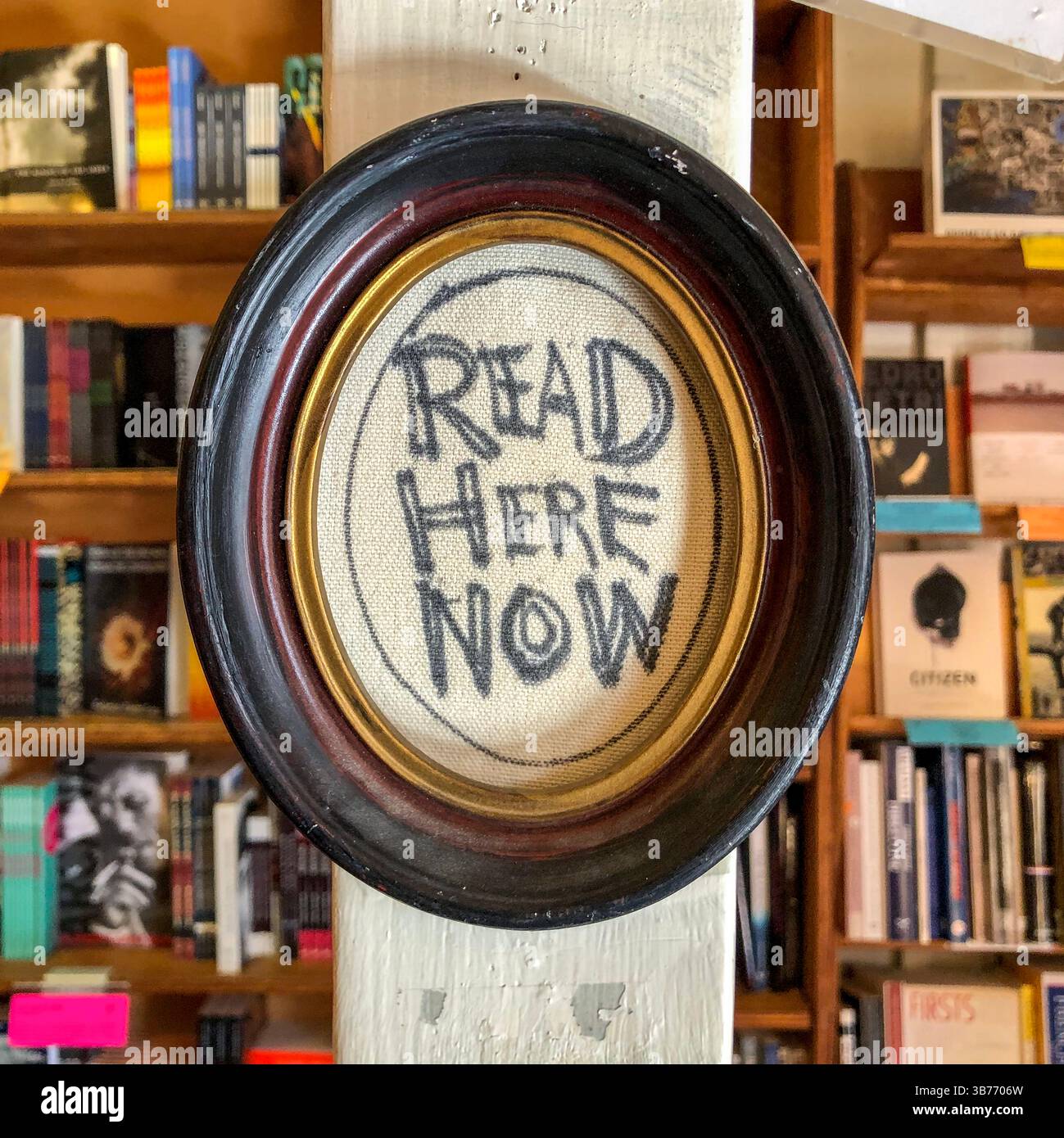 City Lights Bookstore è un negozio indipendente a North Beach a San Francisco. Reso famoso dagli scrittori Beat degli anni '50 e '60 Foto Stock