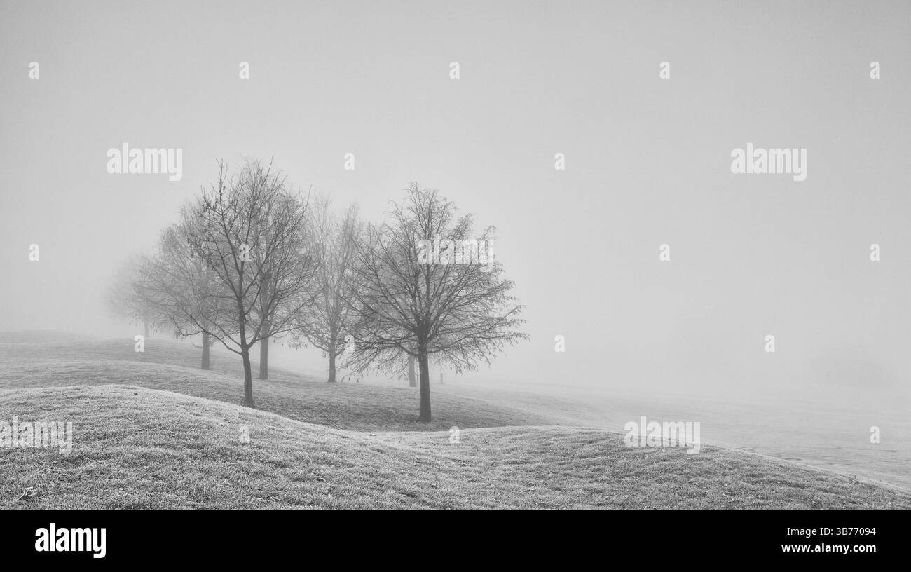 Paesaggio autunnale nella nebbia mattutina. Immagine in bianco e nero Foto Stock