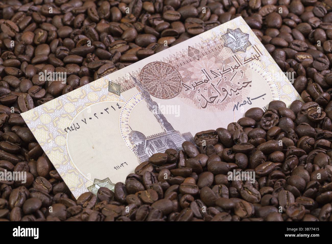 I chicchi di caffè e la sterlina egiziana banconota Foto Stock