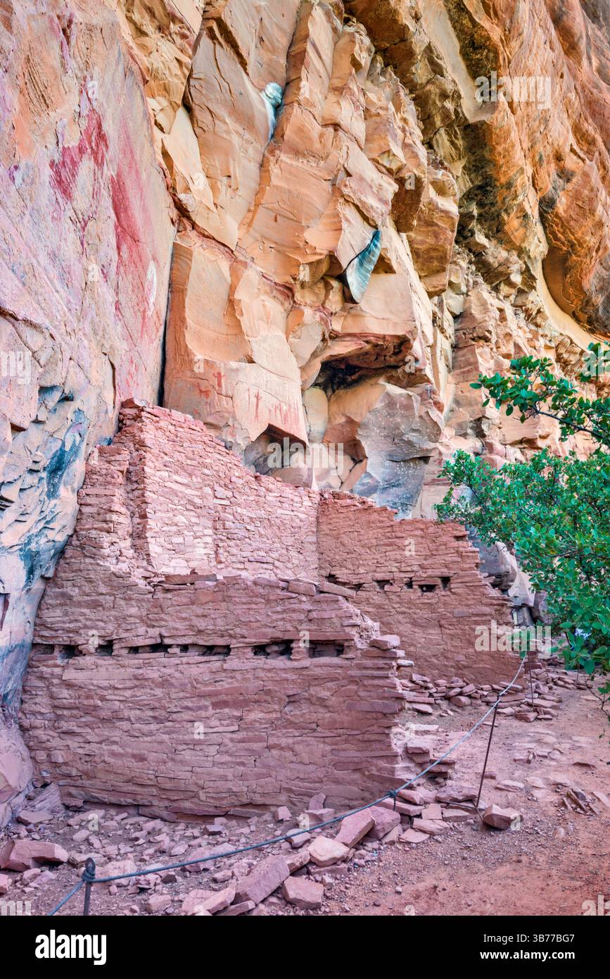 Dimore rupestri presso le rovine di Honanki, Honanki Heritage Site, Coconino National Forest, vicino a Sedona, Arizona, STATI UNITI Foto Stock