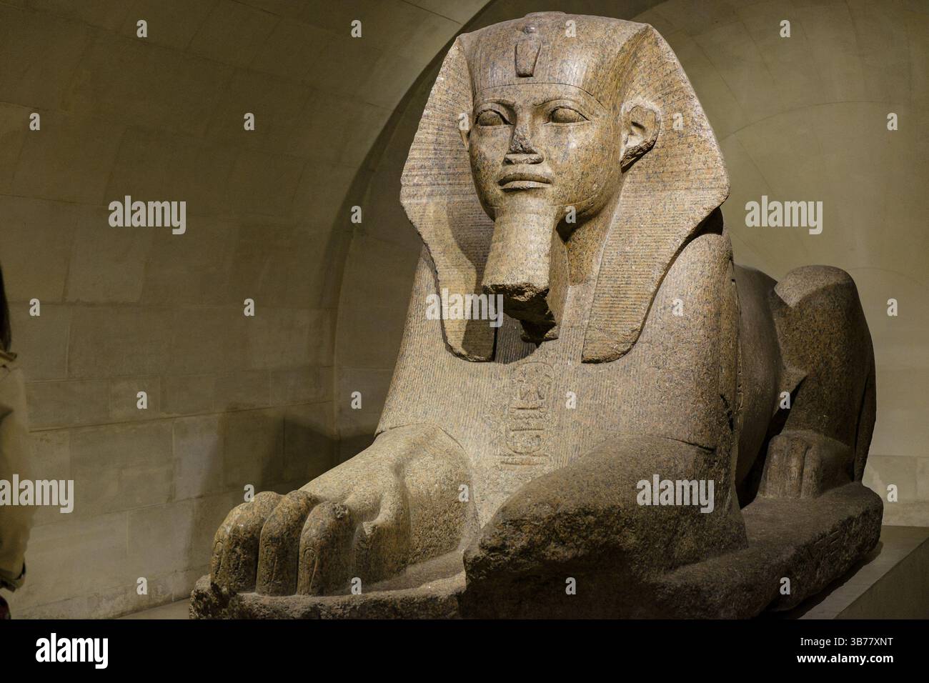 Museo del Louvre, Museo Nazionale di Francia, Parigi, Francia, Europa occidentale, Europa Foto Stock