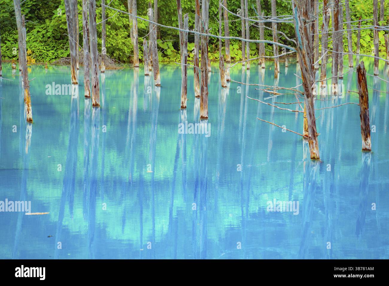 Laghetto blu platino (Hokkaido Biei-cho). Luogo di tiro: Hokkaido Biei-cho Foto Stock