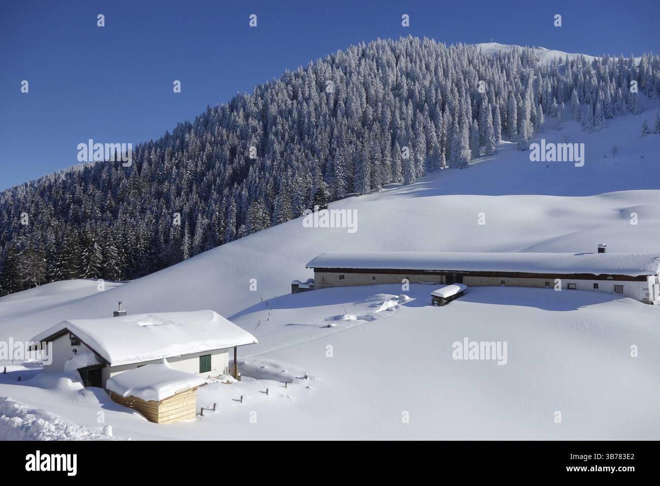 Montagne della Baviera alpi prealpi alm alpe seekaralm seekakreuz lenggries Bad toelz tegernsee inverno maturo bianco schema freddo nebbia fiocchi di neve brillante Foto Stock