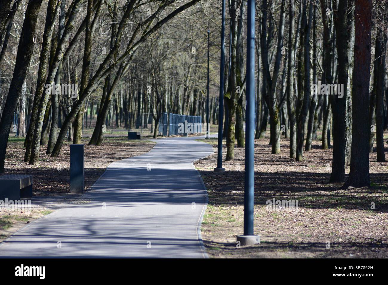 Sentiero in un parco con alberi e torce ai lati. Giorno di primavera. Percorso del parco vuoto. Foto Stock