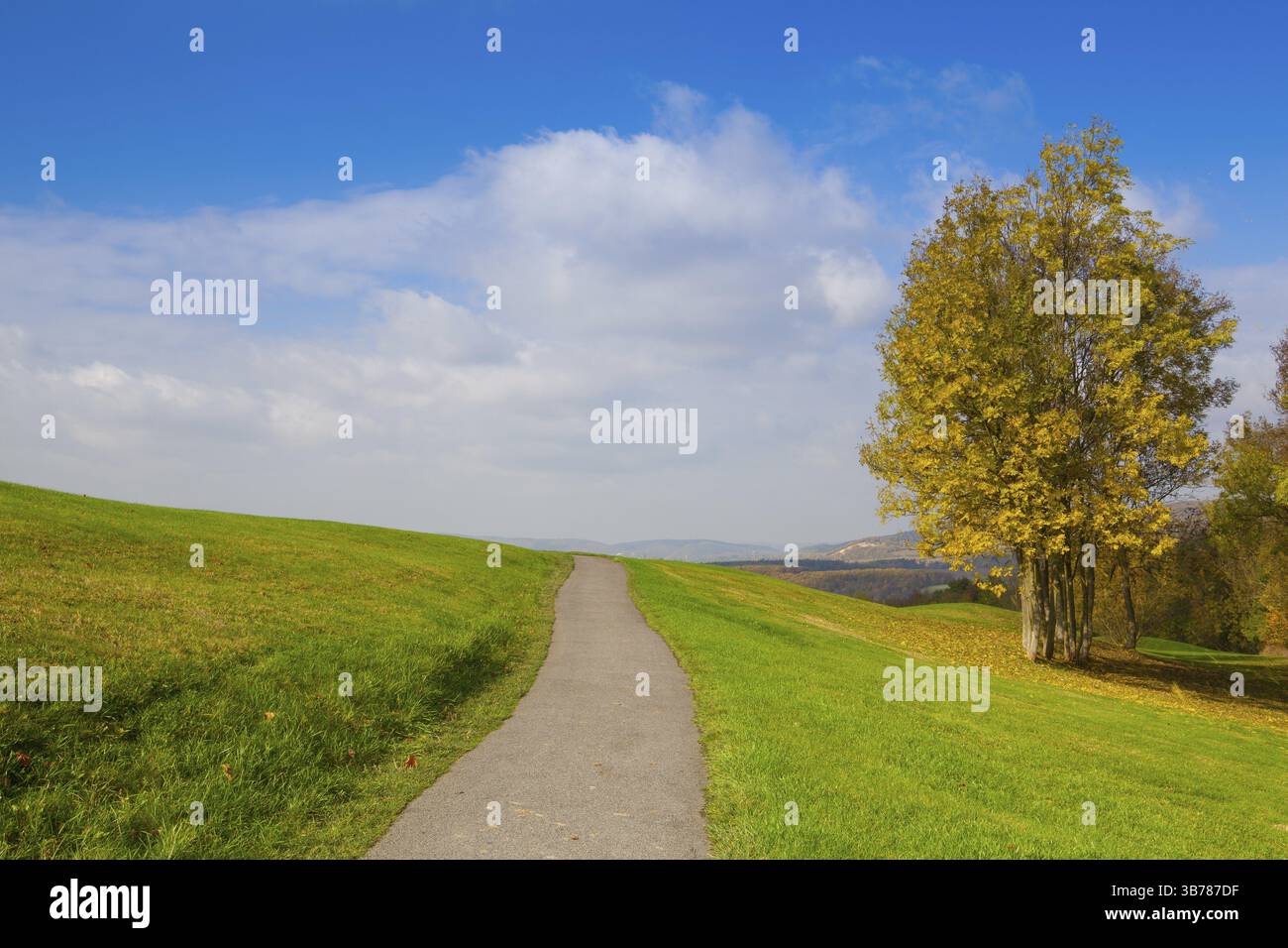 Autunno in scena con la strada vuota sulle colline Foto Stock