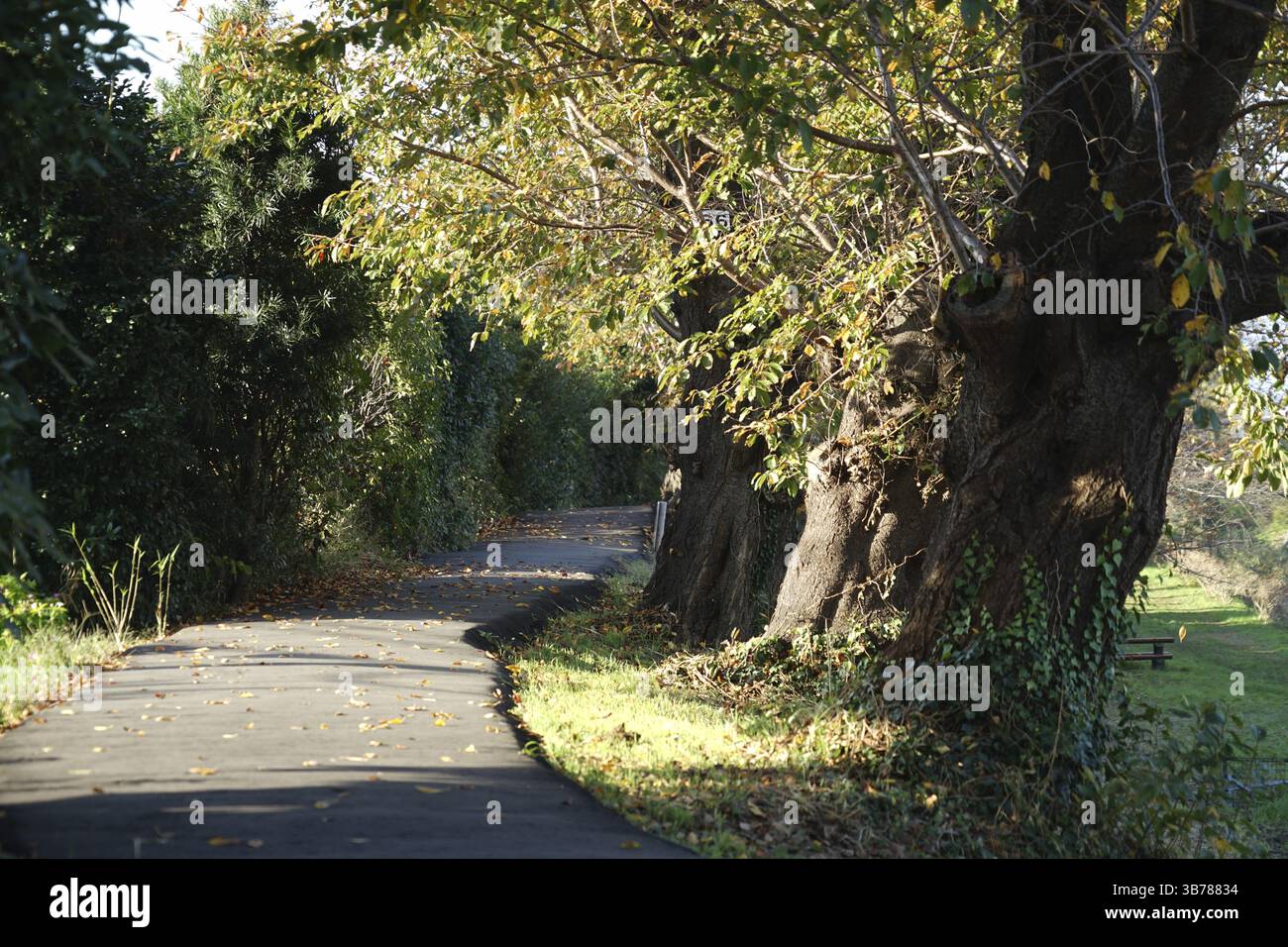 Paesaggio Ebina. Luogo di tiro: Yamato-shi, Kanagawa Foto Stock