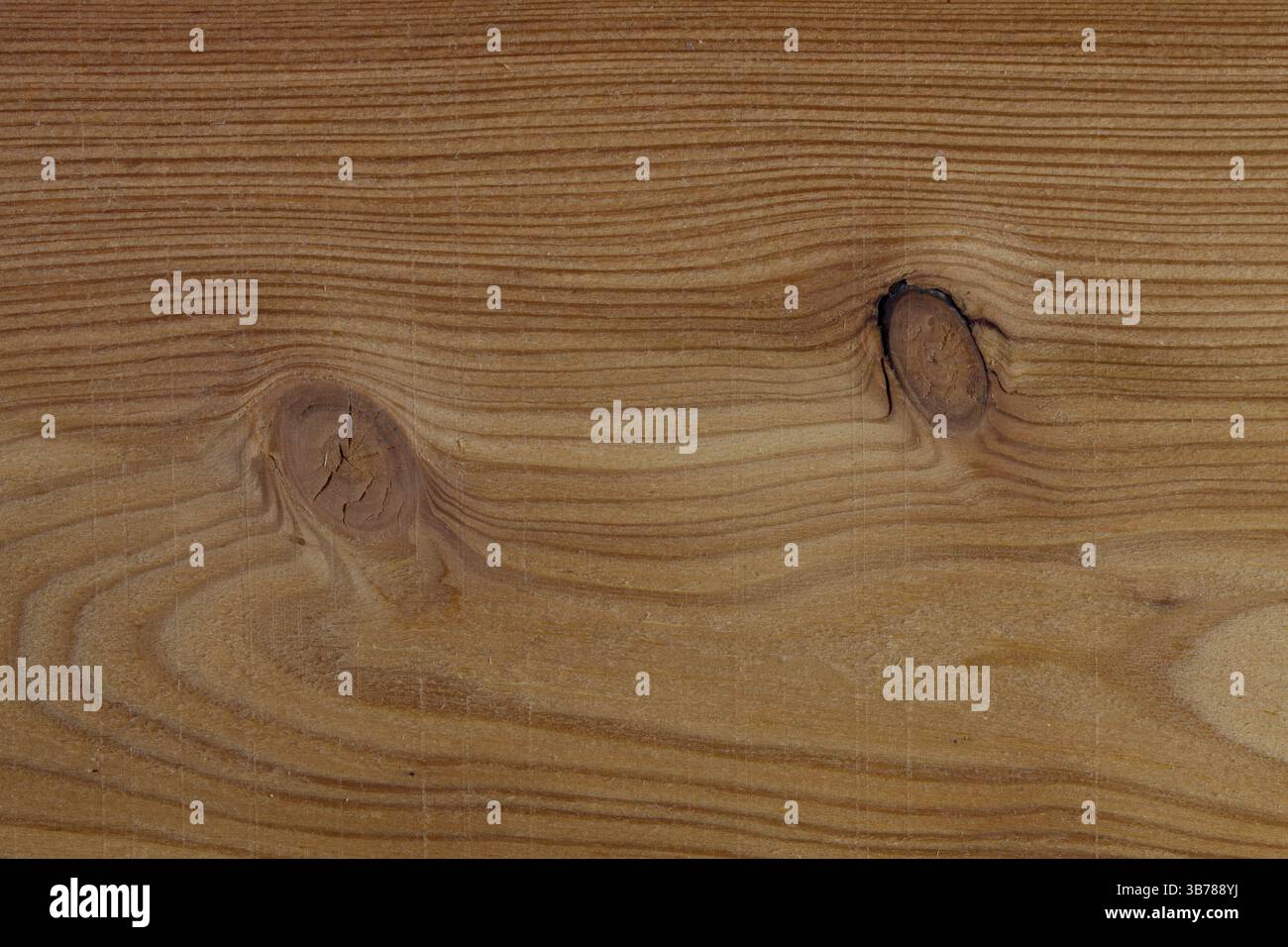 Realistica di impiallacciatura di legno con interessanti gli anelli di crescita Foto Stock