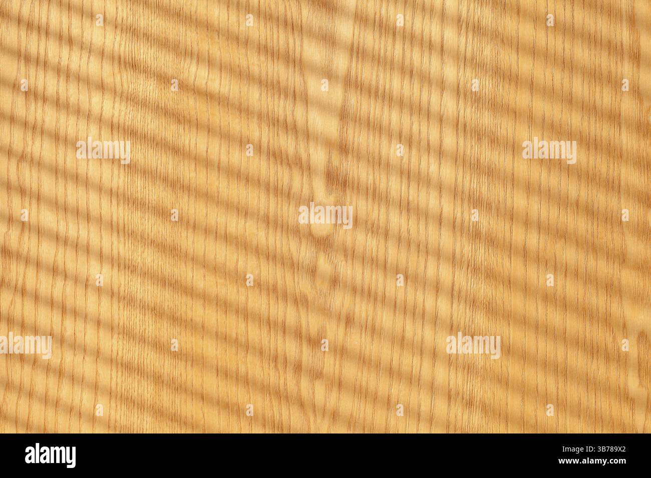 Pavimento in legno realistico con ombre dalle persiane Foto Stock