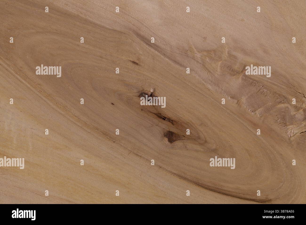 Realistica di impiallacciatura di legno con interessanti gli anelli di crescita Foto Stock