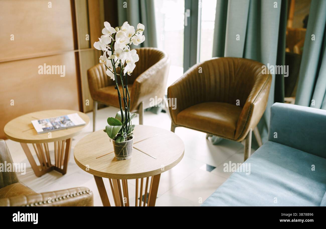 Fiore bianco Phalaenopsis orchidea in una tazza su un piccolo tavolo rotondo con poltrone e un divano blu vicino alla porta al balcone. Foto Stock
