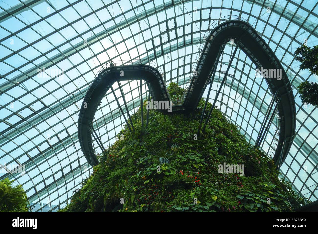 Singapore Cloud Forest. Luogo di ripresa: Singapore Foto Stock