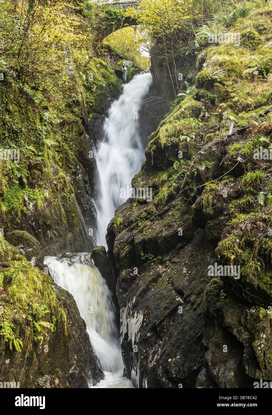 Lake District - cascate Aira Force vicino a Ullswater Foto Stock