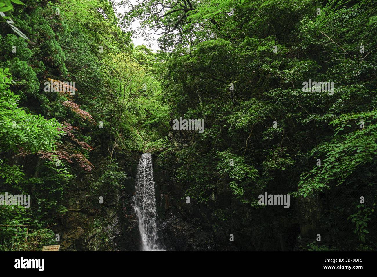 Cascate di Koga (Kobe City, Arima Onsen). Poligono di tiro: Kobe City, Hyogo Pref Foto Stock