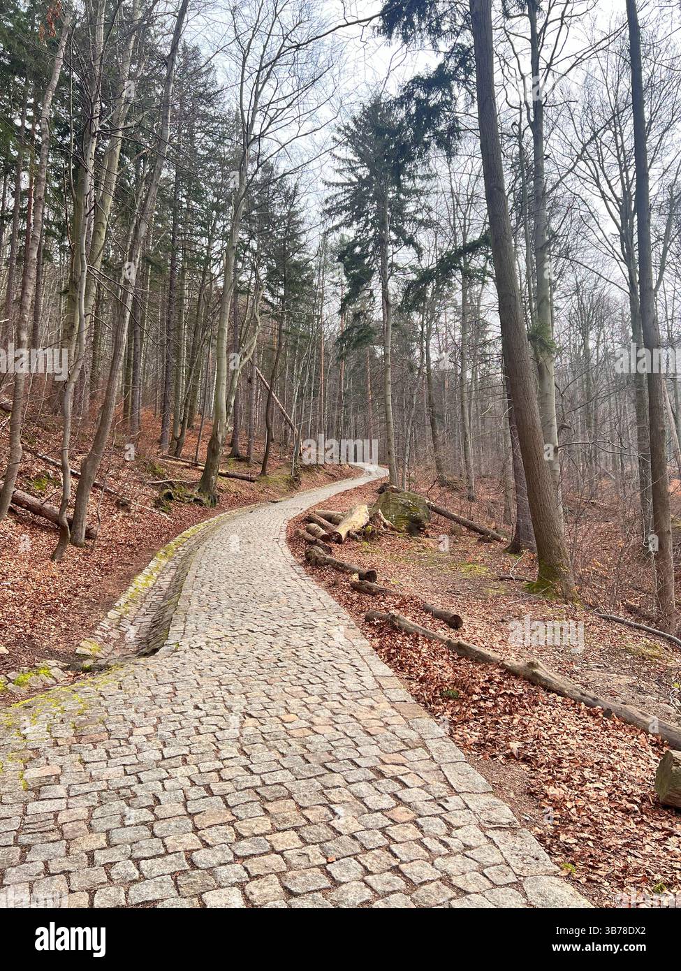 Castello di Chojnik, rovine medievali in cima a una montagna panoramica, in Polonia Foto Stock