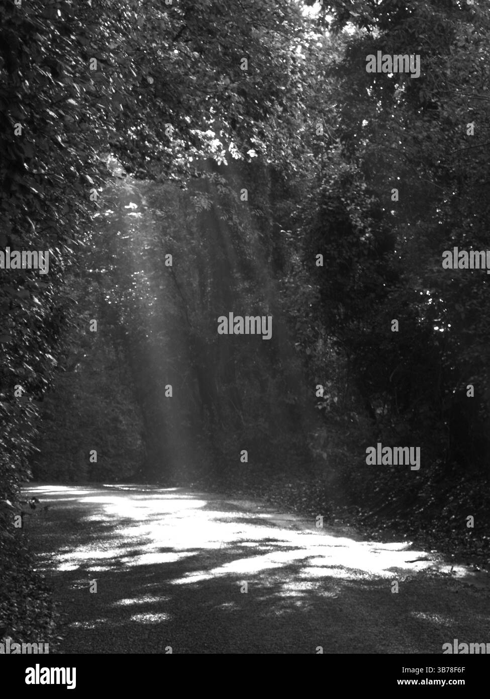 Un paese in ritardo illuminato dalla mattina presto alla luce del sole Foto Stock