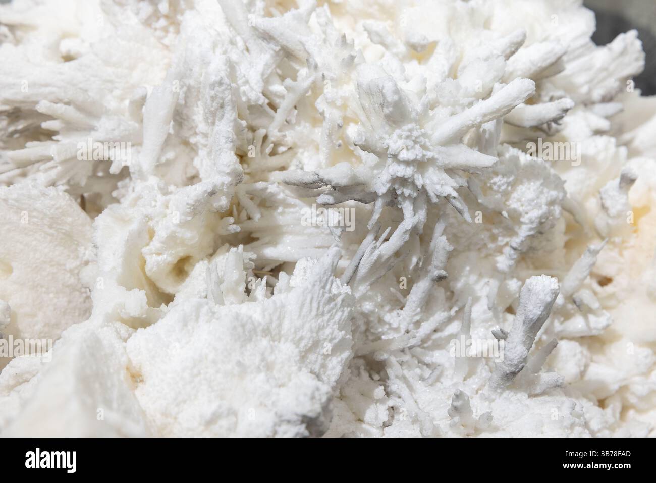 Argonite, una crescita di stalattiti. Una vista macro estremamente dettagliata di intricate strutture cristalline bianche che si formano su uno sfondo testurizzato, highlighti Foto Stock