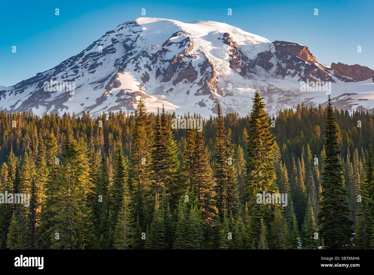 Monte Rainier e l'area di Paradise al Mount Rainier National Park nello stato di Washington, Stati Uniti Foto Stock