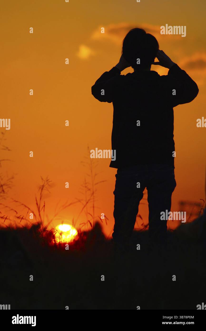 Crepuscolo della collina (Tokyo Musashino Forest Park). Location delle riprese: Mitaka City, Tokyo Foto Stock