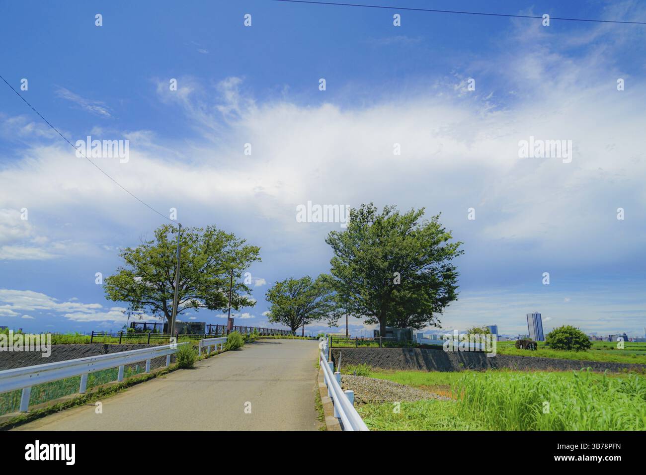 Matsudo si scossina dalla campagna. Luogo di tiro: Prefettura di Chiba Foto Stock