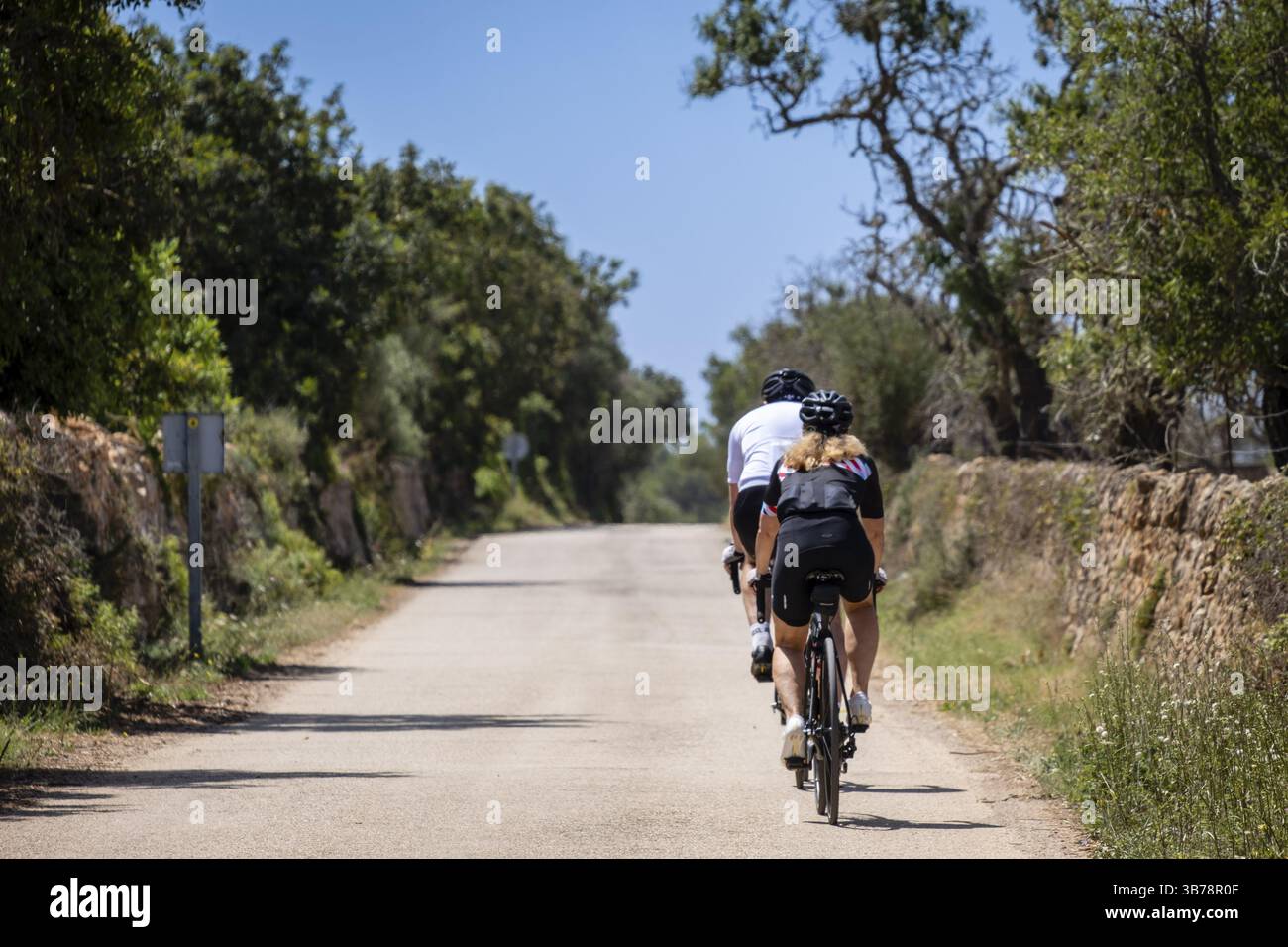 Ciclista sulla strada per l'aguila, Llucmajor, Maiorca, Spagna, Europa Foto Stock