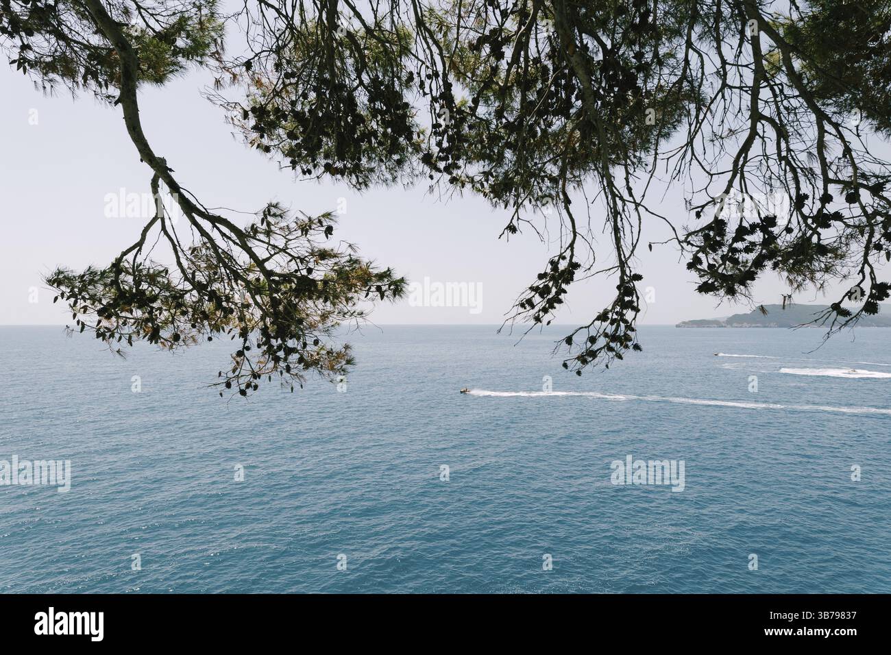 Budva, Montenegro - 7 agosto 2020: Le persone a bordo di moto d'acqua nuotano in acque calme contro l'orizzonte blu Foto Stock