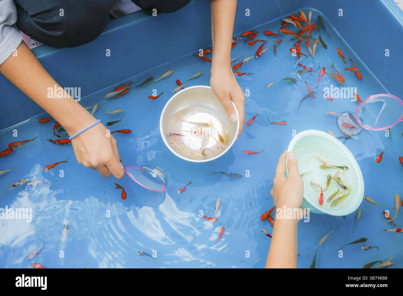 Immagine della salvezza del pesce d'oro di giusto. Luogo di ripresa: Yokohama-città prefettura di kanagawa Foto Stock