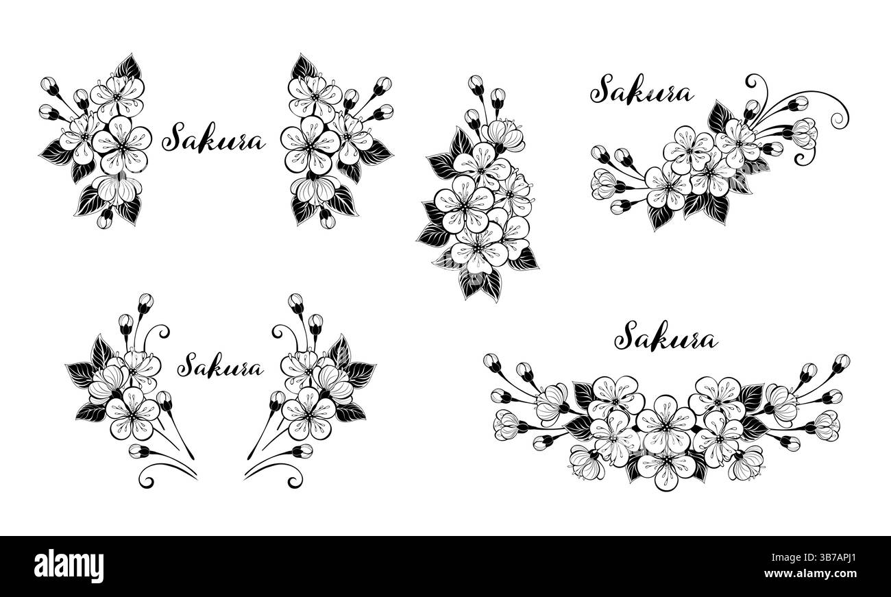 Vignette ed elementi di design di disegni artistici, profili e fiori di ciliegio. Fiori di ciliegio giapponesi. Illustrazione Vettoriale