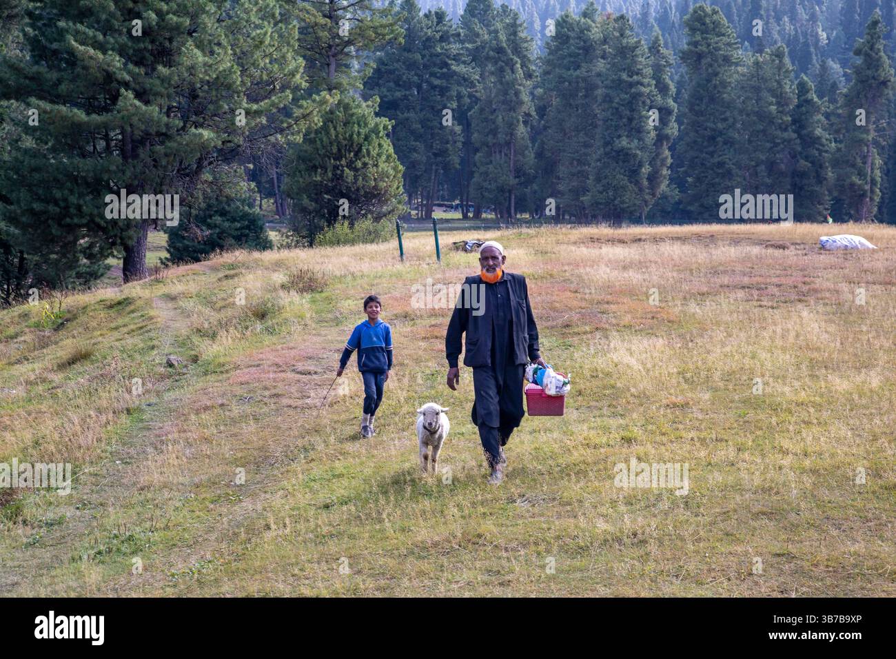 Lo zio Kashmiri cammina con le sue pecore, offrendo ai turisti l'opportunità di scattare foto e dargli soldi in cambio. Foto Stock