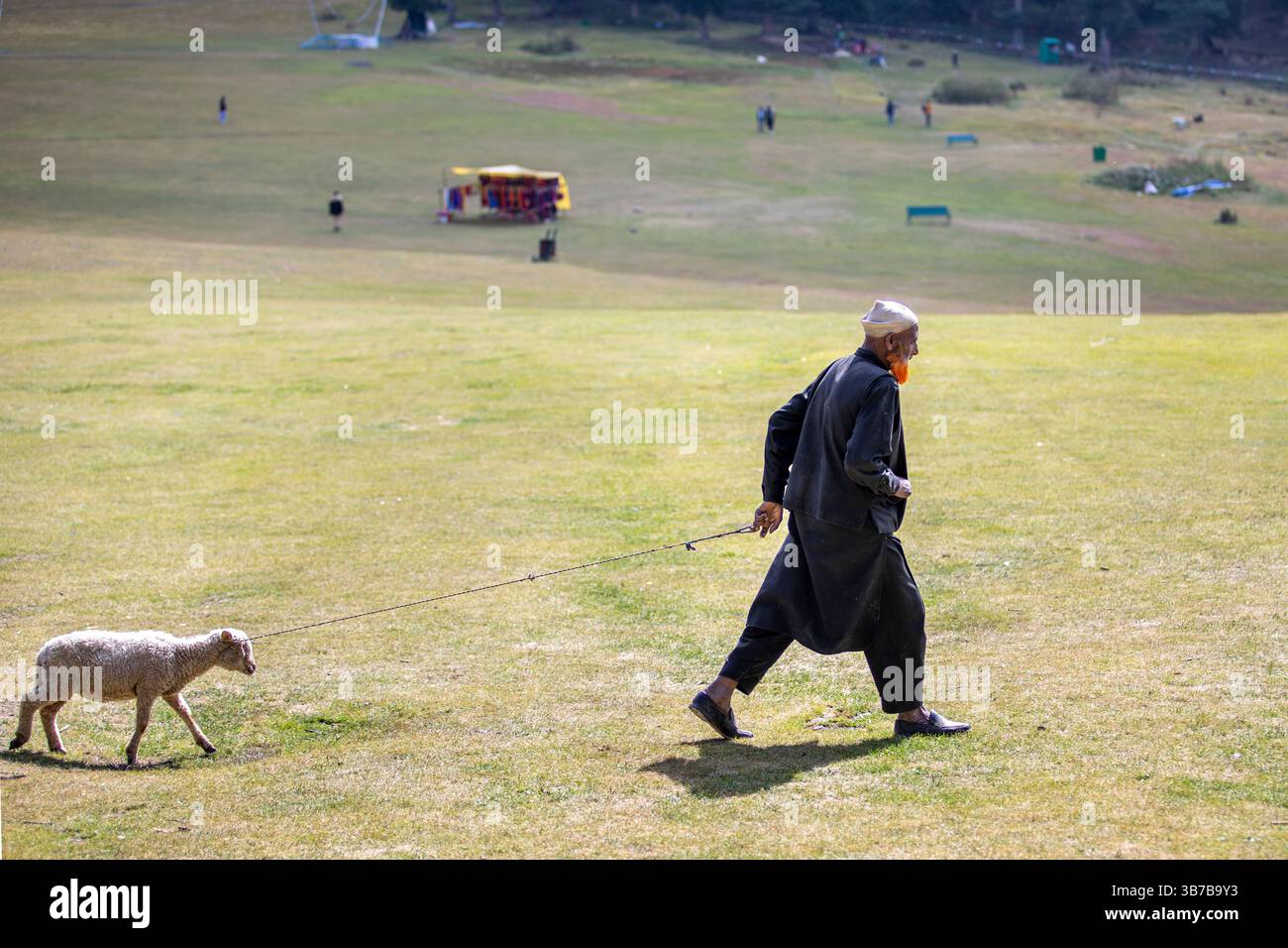 Lo zio Kashmiri cammina con le sue pecore, offrendo ai turisti l'opportunità di scattare foto e dargli soldi in cambio. Foto Stock