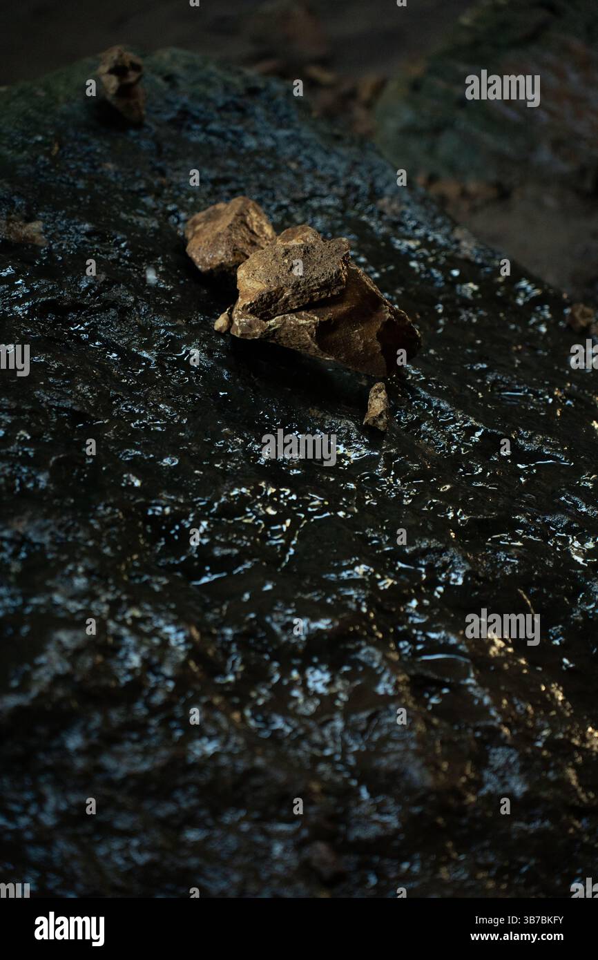 Roccia umida scura con frammenti di foglie secche all'interno di una grotta Foto Stock