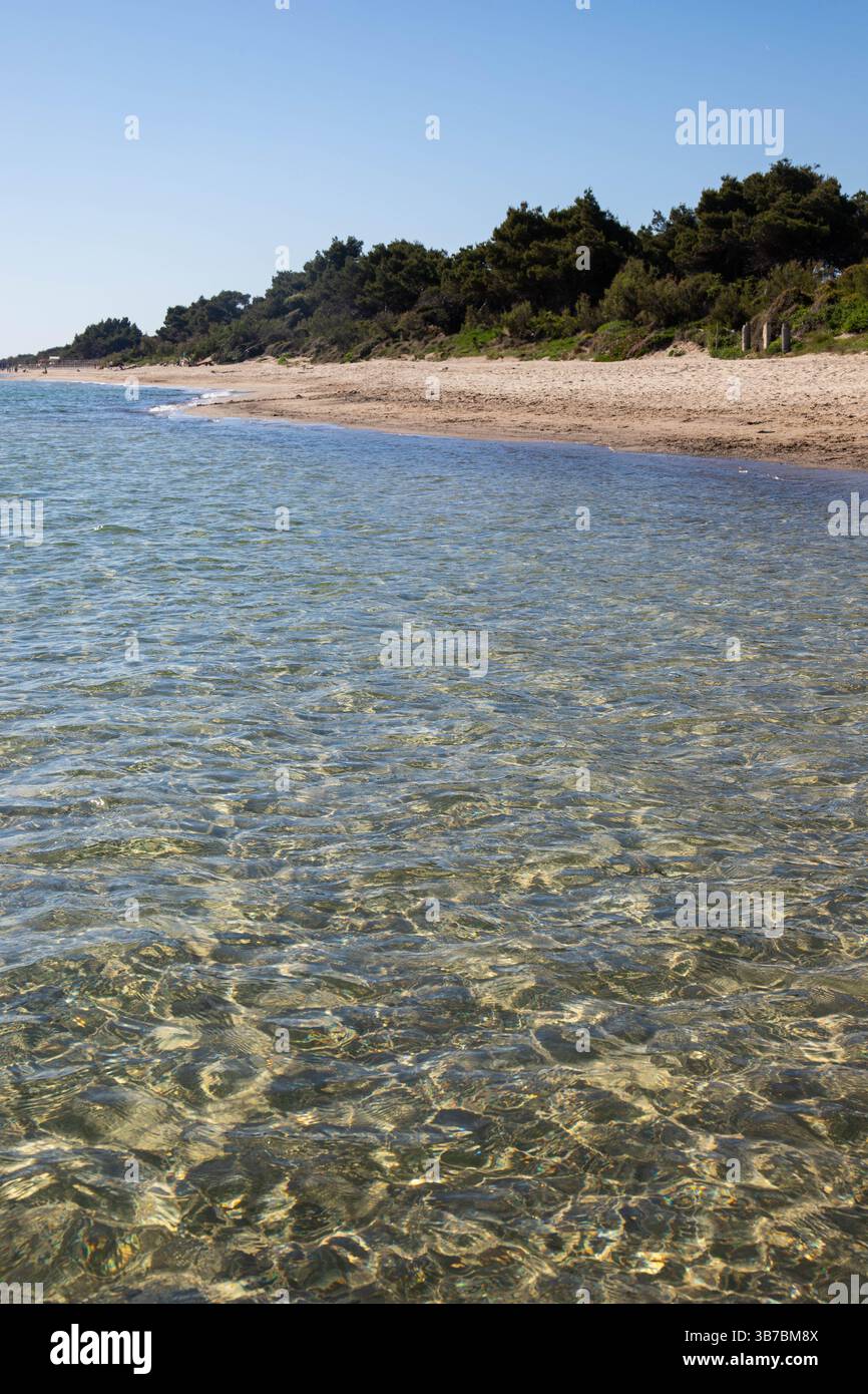 Vista panoramica della bellissima spiaggia di Torre Mozza a Piombino, in Toscana, con acque cristalline. Scatto verticale. Foto Stock