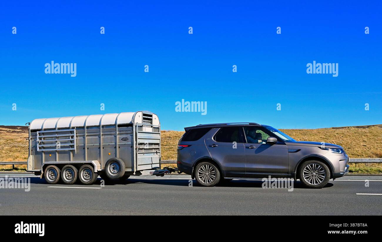 Rimorchio per bestiame Nugent trainato in auto, che viaggia a velocità sostenuta sulla M6 Motorway Southbound Carriway, Shap, Cumbria, Inghilterra, Regno Unito, Europa. Foto Stock