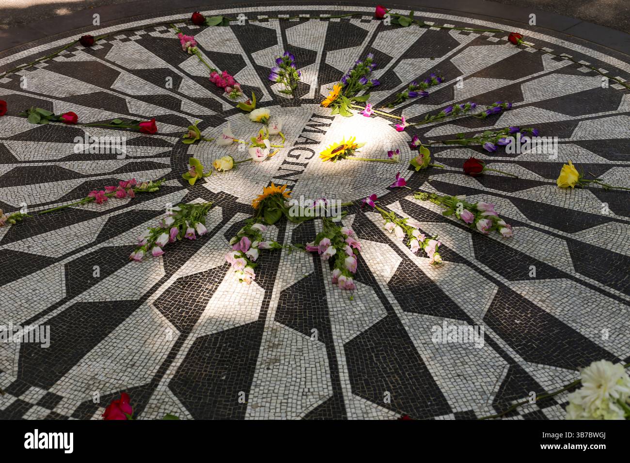 New York City, NY – luglio 2013: Un visitatore colloca fiori intorno al mosaico "Imagine" a Strawberry Fields, in onore dell'eredità di John Lennon. Foto Stock