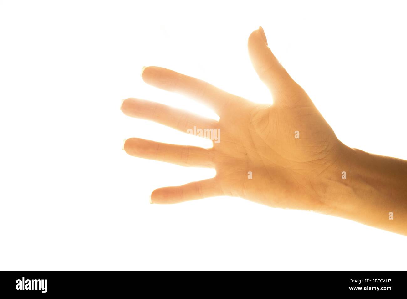 Mano femminile in primo piano alla luce del sole, mano della ragazza palmo Foto Stock