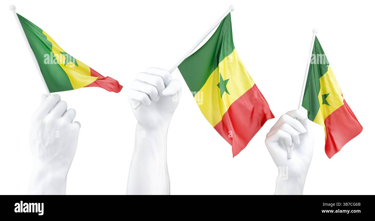 Mano che tiene la bandiera del Senegal. Rendering 3d isolato Foto Stock