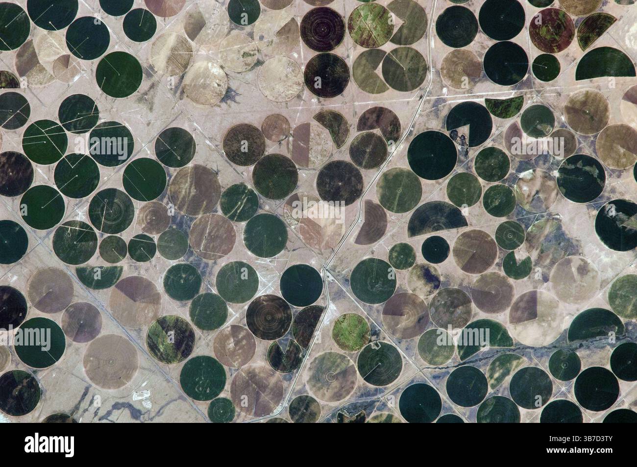 Modelli di superficie della terra visti dallo spazio. Circoli di irrigazione nel deserto. Foto Stock