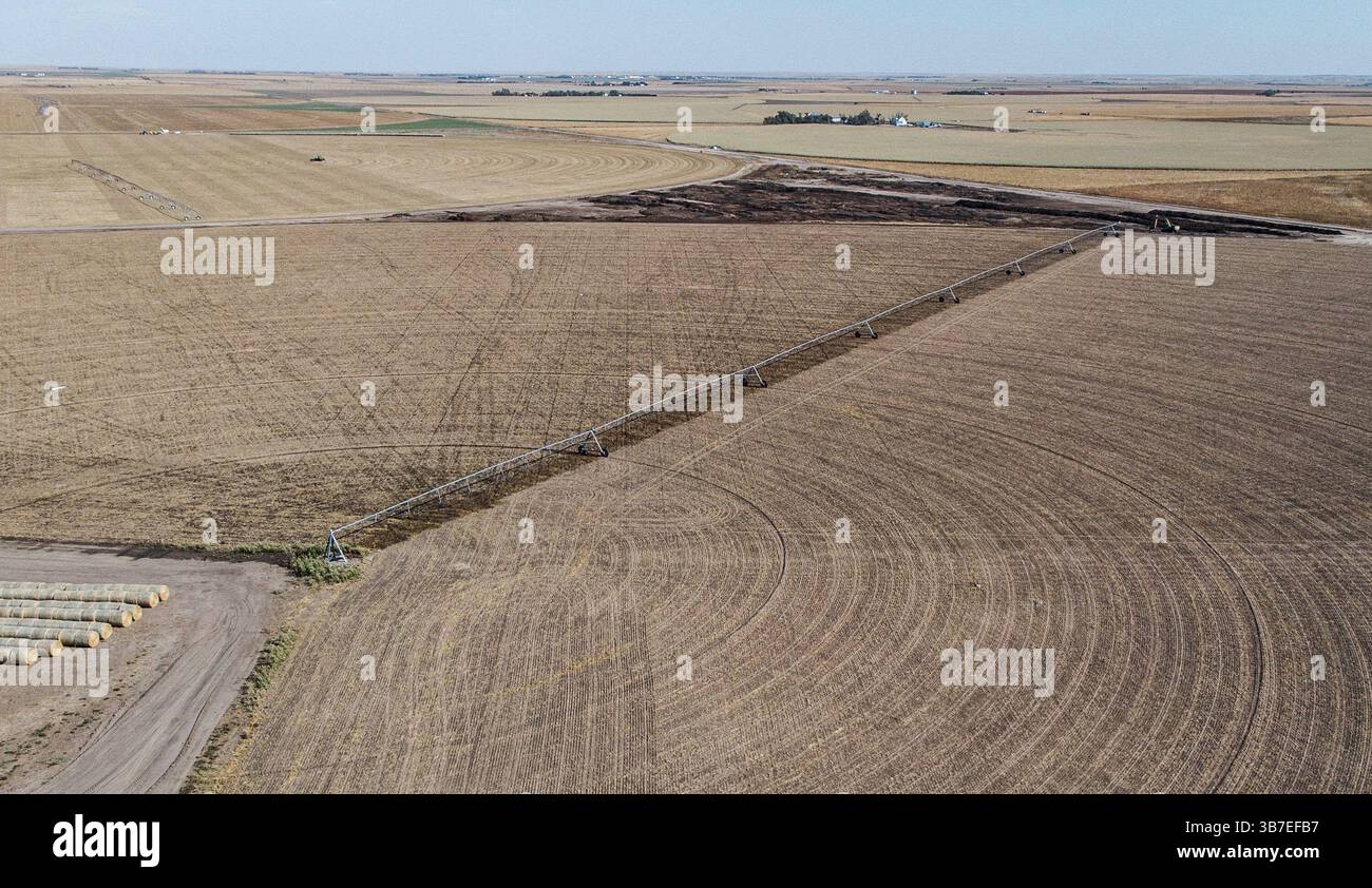 14 settembre 2017: Un impianto sprinkler a perno centrale irriga un campo di triticale appena piantato vicino al Hoxie Feedyard nella contea di Sheridan, Kansas. La coltura ibrida, che richiede molta meno acqua per coltivare quel mais, sta diventando una coltura essenziale per i mangiatori di bestiame, che la utilizzano per ridurre la quantità di mais di cui hanno bisogno nell'alimentazione e ridurre la domanda di acqua dall'Aquifera di Ogallala. (Immagine di credito: © Chris Ochsner/The Kansas City Star via ZUMA Press Wire) Foto Stock
