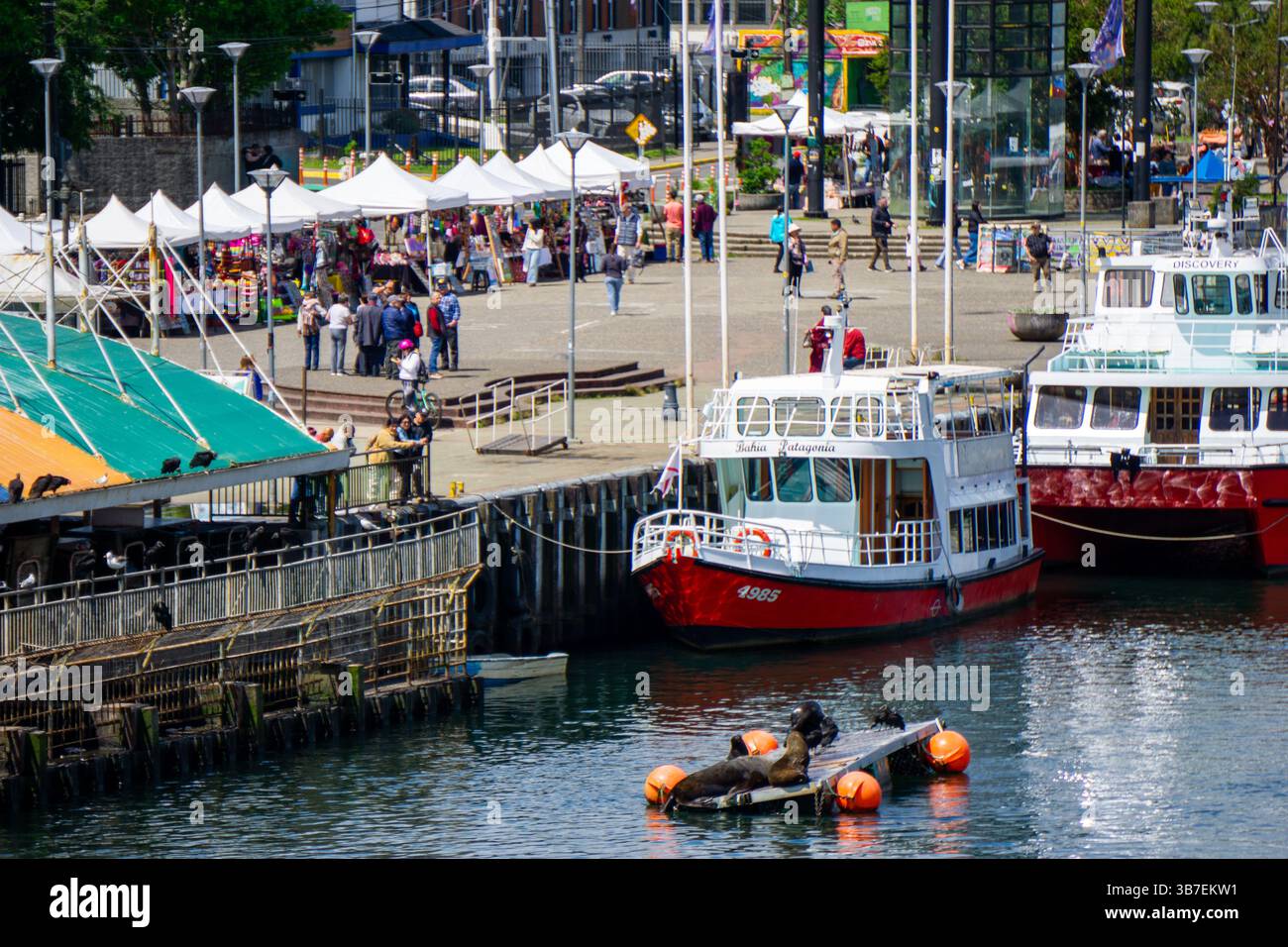 Fauna selvatica e pesce fresco al mercato fluviale di Valdivia lungo il fiume Calle-Calle in Cile Foto Stock
