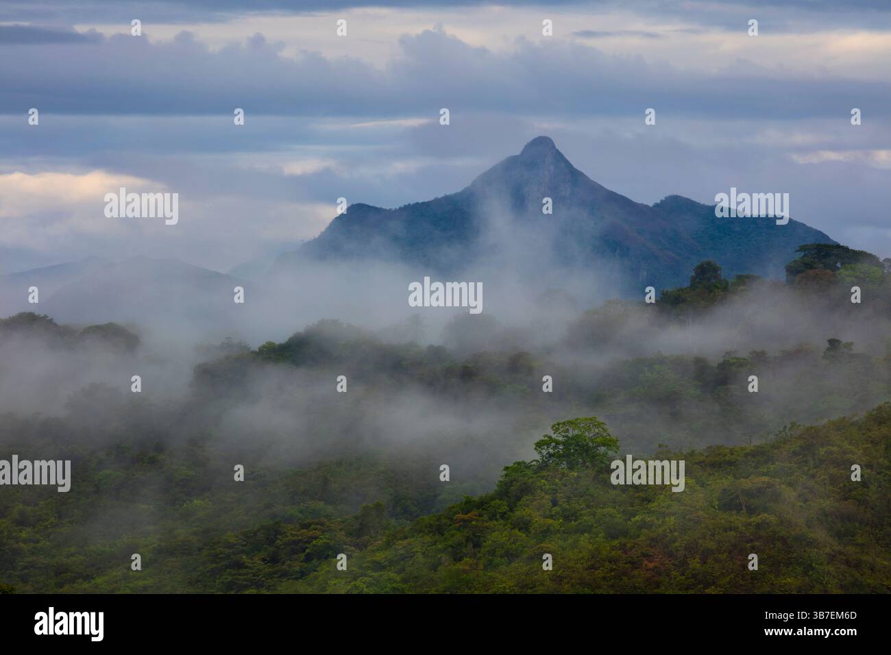 Paesaggio di Panama con colline nebbie e montagne all'alba all'interno della provincia di Coclé, Cordillera Central, Repubblica di Panama, America Centrale. Foto Stock
