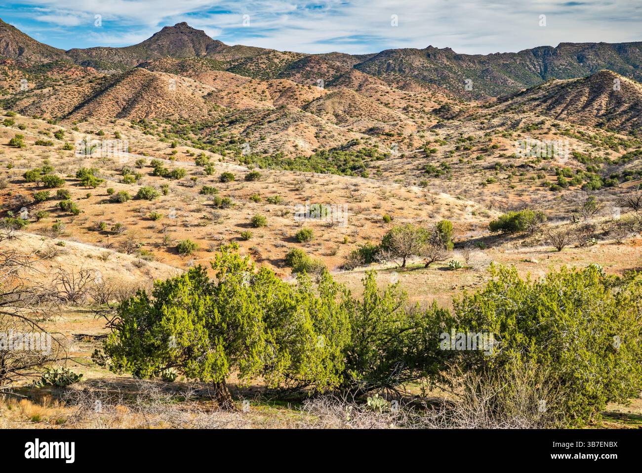 Turret Peak, New River Mountains, vista da Bloody Basin Road, Tonto National Forest, Arizona, USA Foto Stock