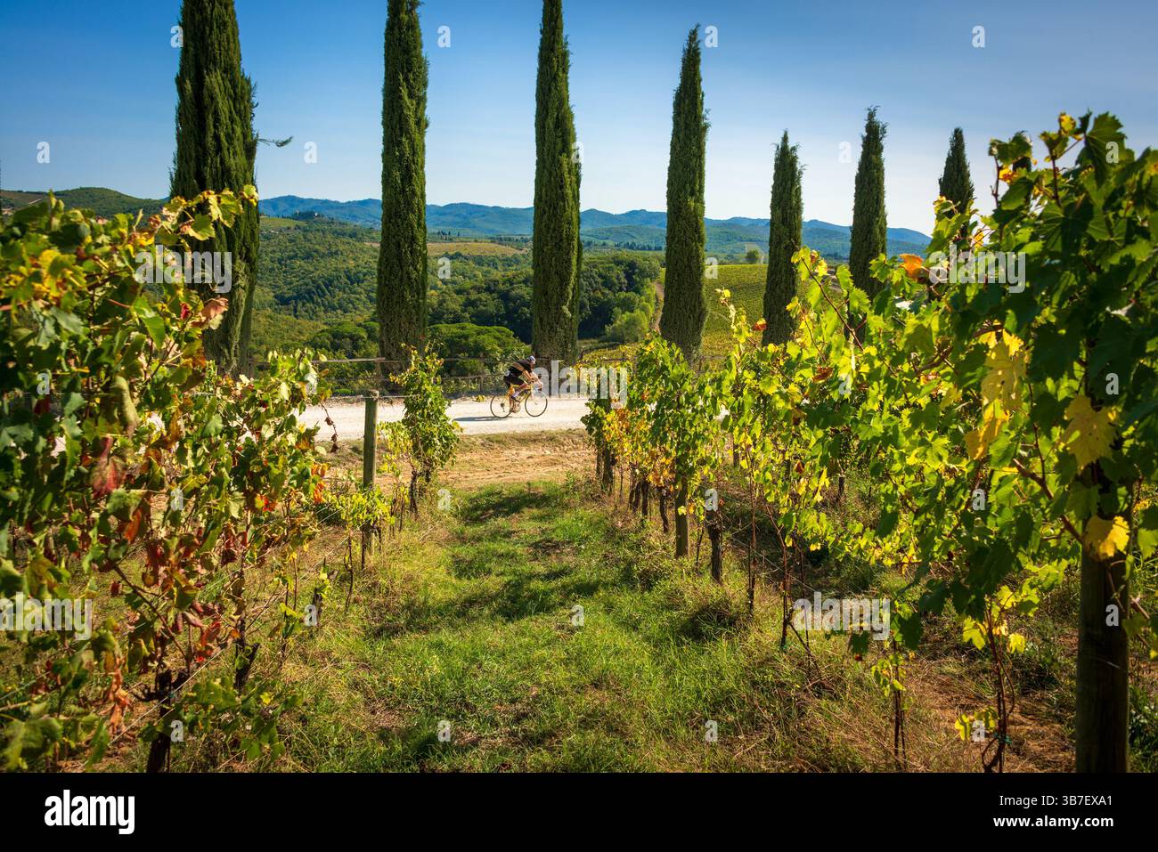 Dievole è uno dei luoghi più belli attraversati dalla corsa ciclistica Eroica Foto Stock