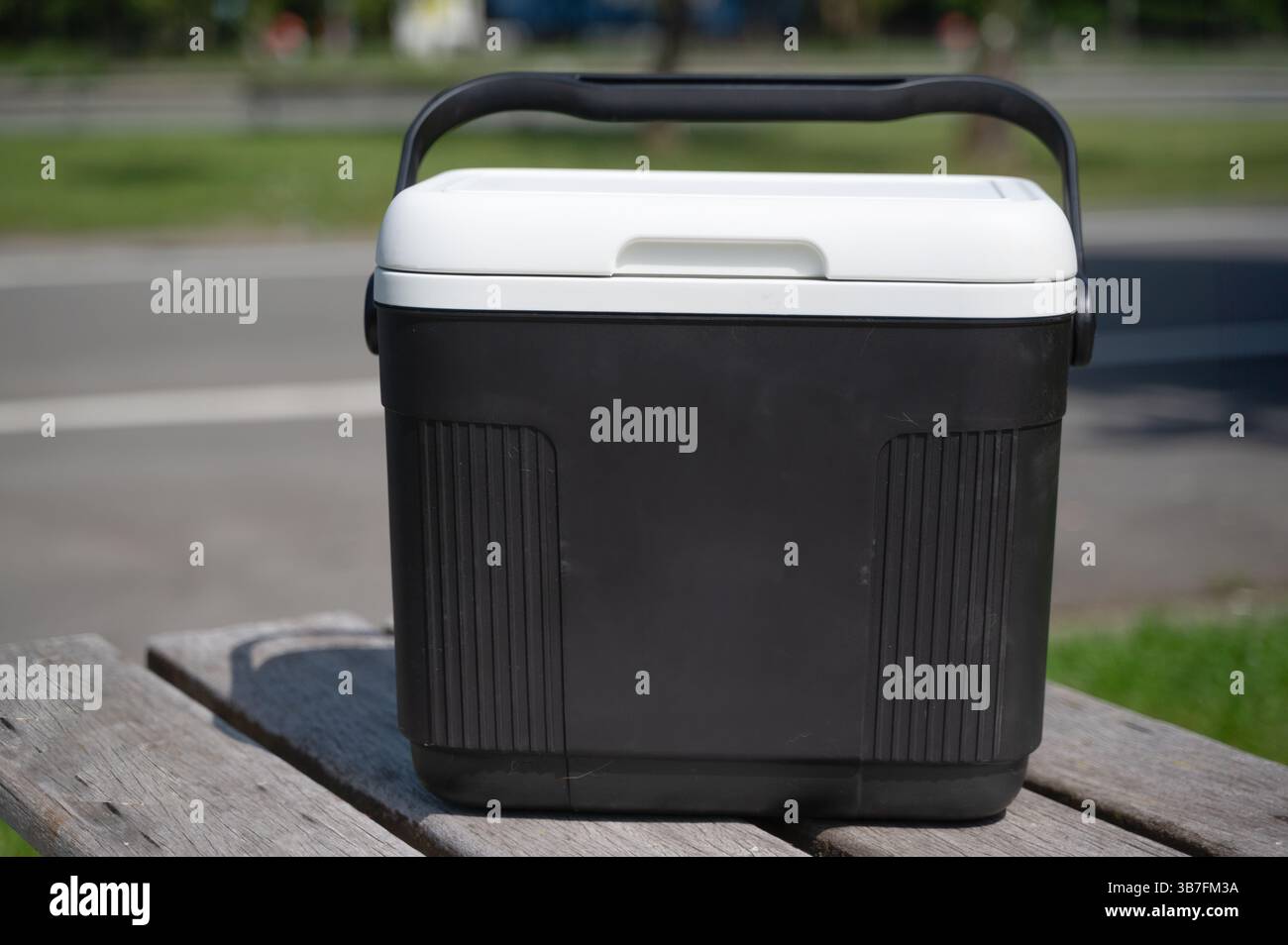 Un frigorifero portatile perfetto per avventure all'aperto, vacanze nel fine settimana e picnic Foto Stock