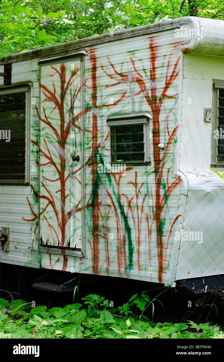 Un camuffamento dipinto a mano nasconde un vecchio camper nella foresta in un deposito bagagli, Door County, Wisconsin Foto Stock